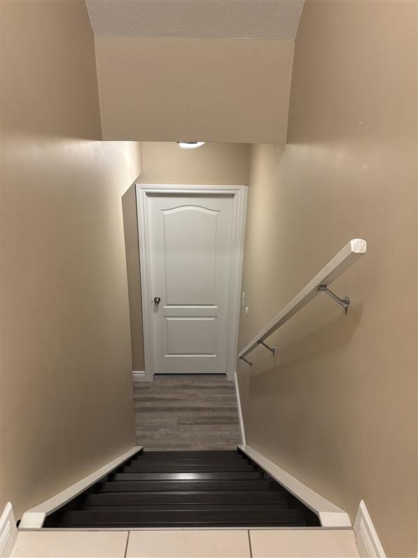 113B Ward Crescent - 1